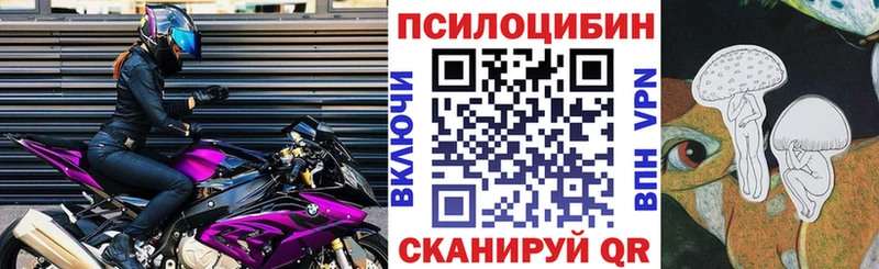 Псилоцибиновые грибы GOLDEN TEACHER  купить наркотики сайты  Удачный 
